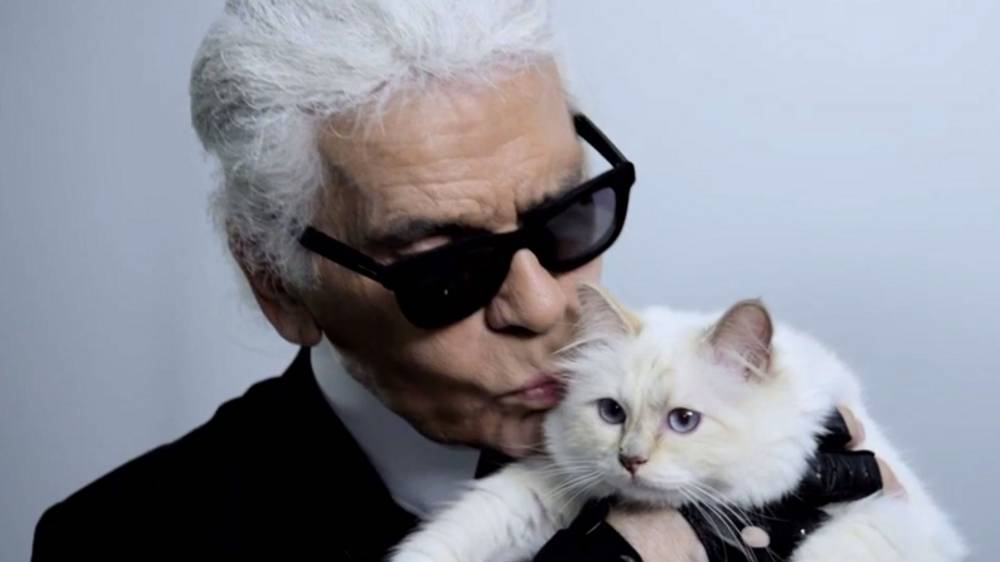 Karl-Lagerfelds-Cat-Choupette-To-Inherit-Huge-200-Million-Fortune.jpeg